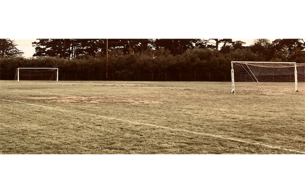 Fall Leagues Start Sept 10!